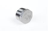 Inox afsluitplug 1"